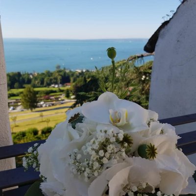 65594100 876818912655769 2377318441909485568 n