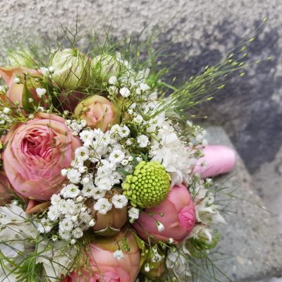 62500749 860896497581344 8610418600999649280 n