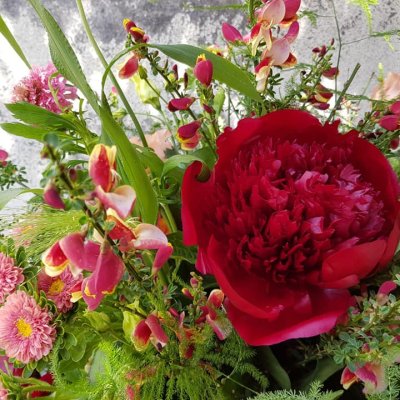 61142334 851449745192686 5967520461205012480 n