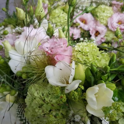 60115275 842081419462852 8765012680349057024 o